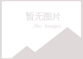 日照岚山水绿会计有限公司